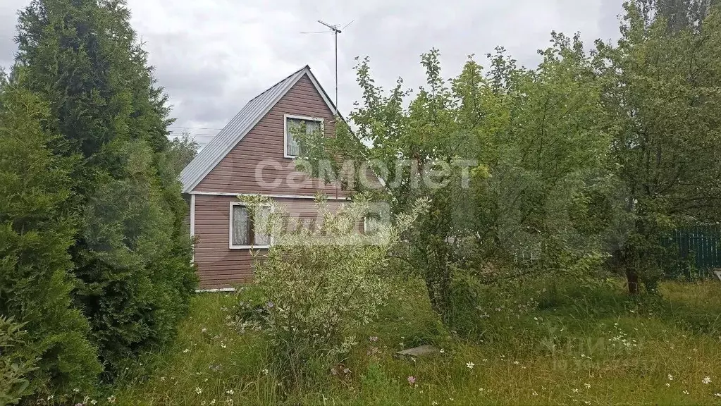 Дом 46 м на участке 6 сот. - Фото 1