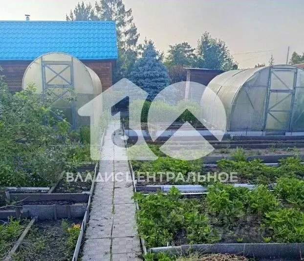 Участок в Новосибирская область, Новосибирск Золотая Горка СНТ, аллея ... - Фото 1