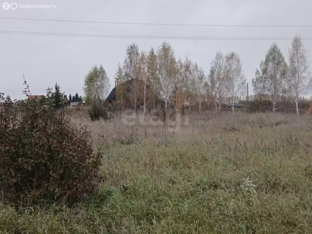 Дом в Кормиловский район, деревня Станкеевка, Пролетарская улица (45.9 ... - Фото 2