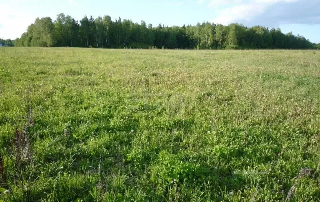 Участок в Тула (11.98 м) - Фото 2