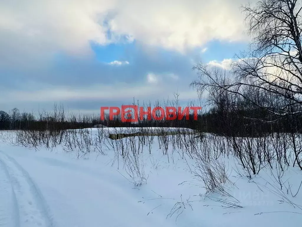 Участок в Новосибирская область, Новосибирский район, Плотниковский ... - Фото 0