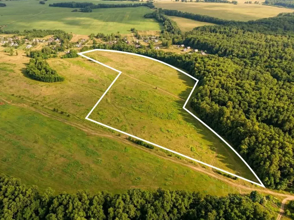 Участок в Тульская область, Ясногорский район, Ревякинское с/пос, с. ... - Фото 1