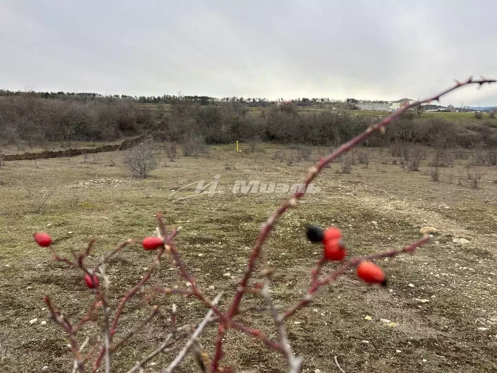 Участок в Крым, Симферопольский район, Добровское с/пос, с. Пионерское ... - Фото 1