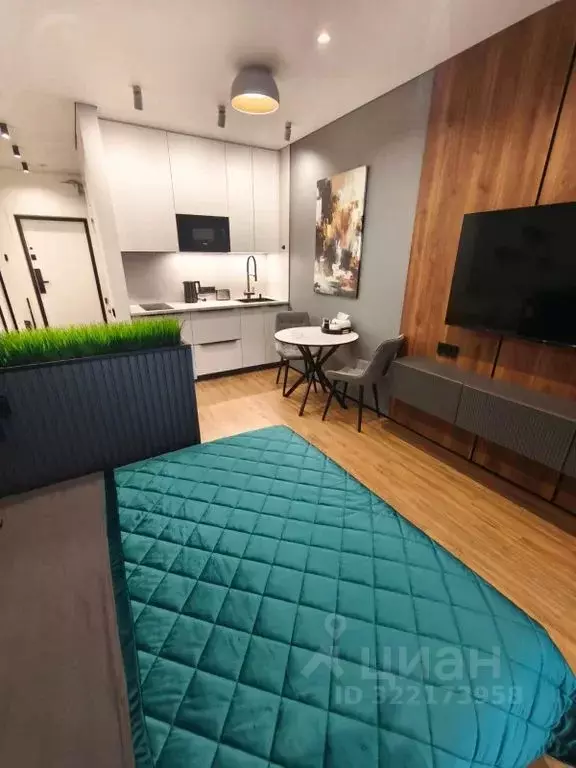 Студия Краснодарский край, Анапа Анапское ш., 18к1 (28.0 м) - Фото 2