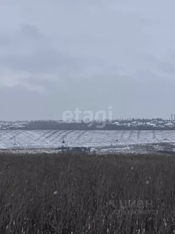 Участок в Белгородская область, Белгородский район, Головинское с/пос, ... - Фото 0
