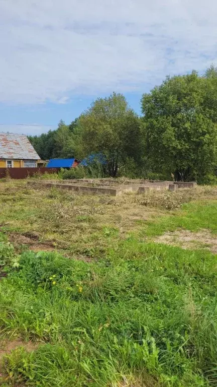 Участок в Тверская область, Западная Двина Лесная ул., 16 (13.3 сот.) - Фото 2