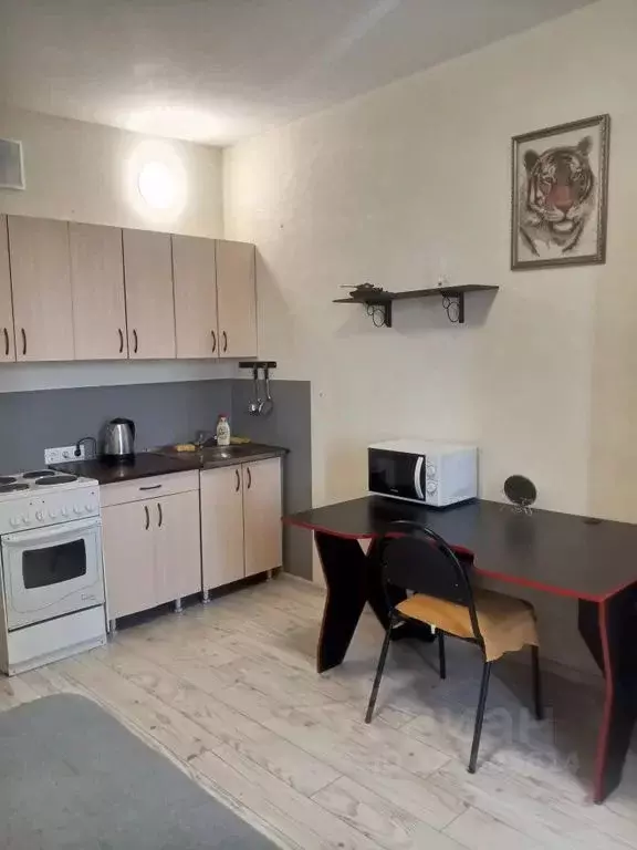 Студия Красноярский край, Красноярск ул. Калинина, 47И (25.0 м) - Фото 0