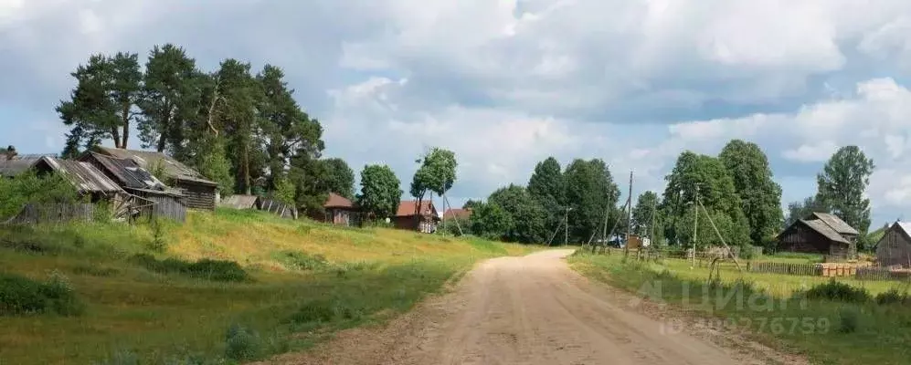 Участок в Ивановская область, Палехский район, Раменское с/пос, д. ... - Фото 1