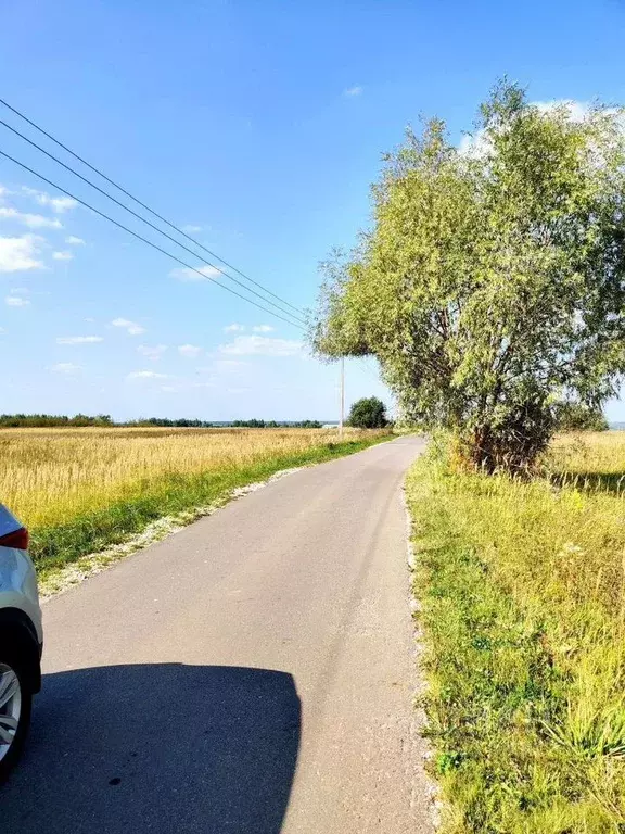 Участок в Московская область, Коломна городской округ, с. Коробчеево  ... - Фото 2