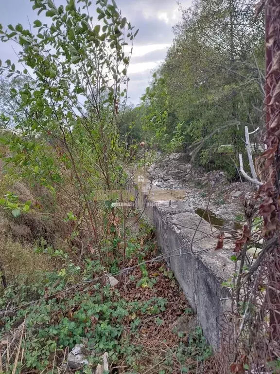 Участок в Краснодарский край, Сочи городской округ, с. Каткова Щель ... - Фото 0