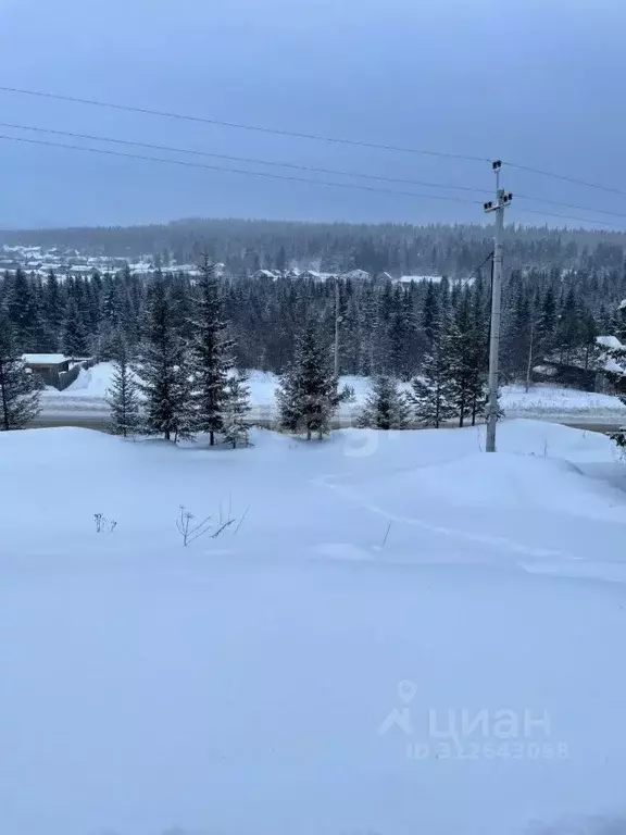 Участок в Свердловская область, Нижний Тагил городской округ, пос. ... - Фото 1