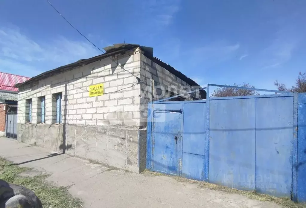 Участок в Краснодарский край, Ейск ул. Сергея Романа, 167 (4.3 сот.) - Фото 2