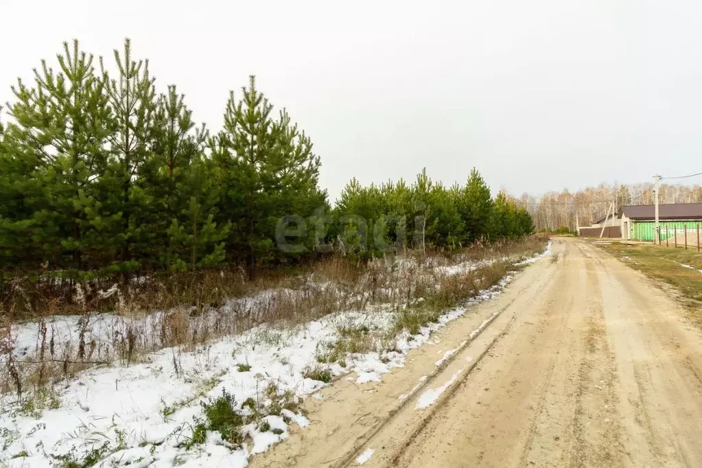 Участок в Тюменская область, Тюменский район, с. Каменка, Подушкино ... - Фото 0