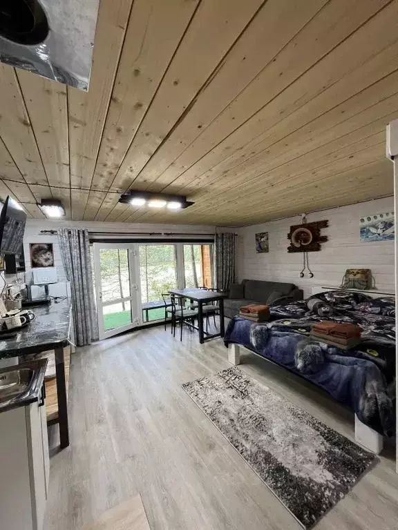 Дом в Алтай, Майминский район Р-256 Чуйский тракт, 489-й км, 1 (30 м) - Фото 1