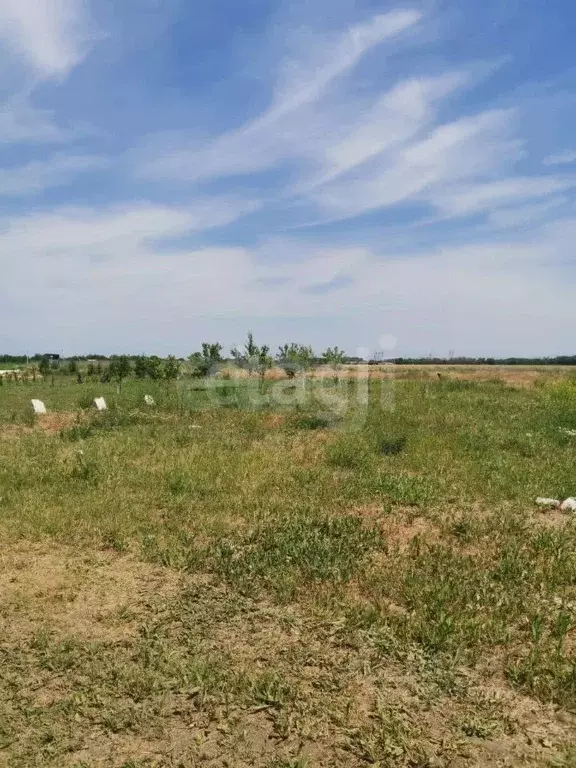 Участок в Ростовская область, Аксайский район, Рассветовское с/пос, ... - Фото 1