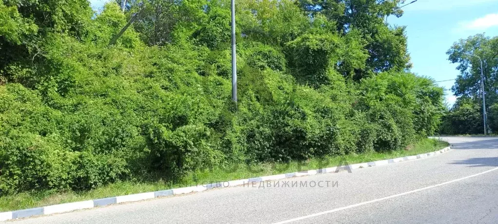 Участок в Краснодарский край, Хадыженск Апшеронский район, ... - Фото 2