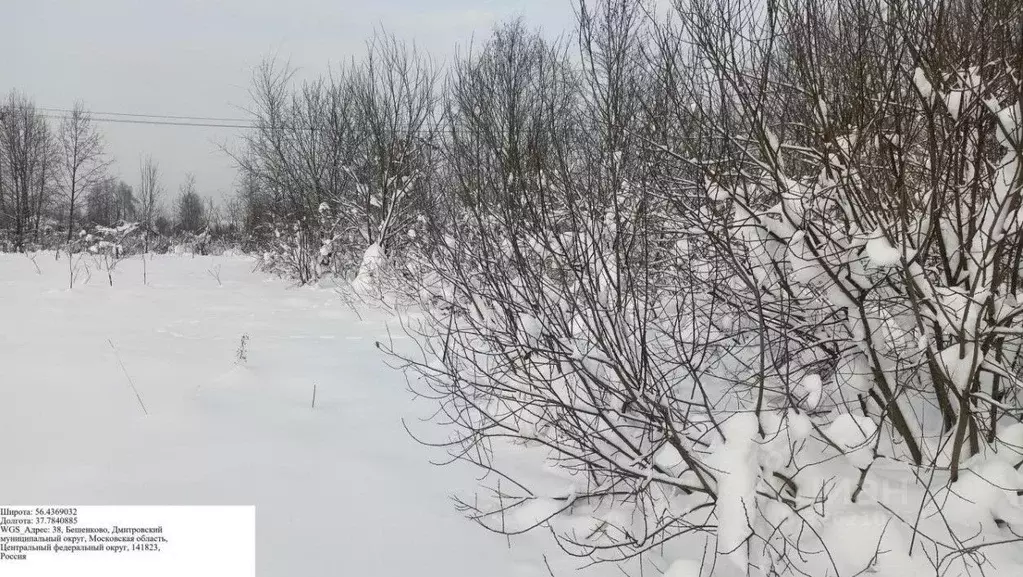 Участок в Московская область, Дмитровский муниципальный округ, д. ... - Фото 1