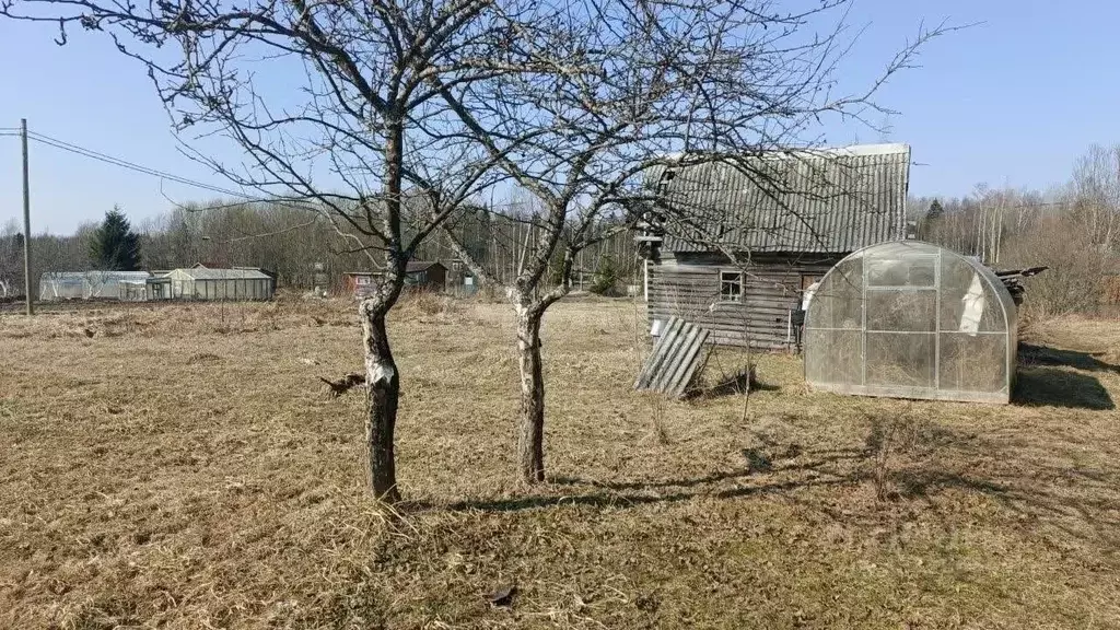 Участок в Ленинградская область, Киришский район, Глажевское с/пос, ... - Фото 1