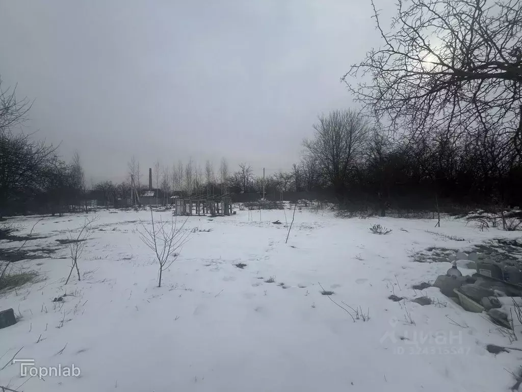 Участок в Брянская область, Брянский район, Снежское с/пос, с. ... - Фото 2