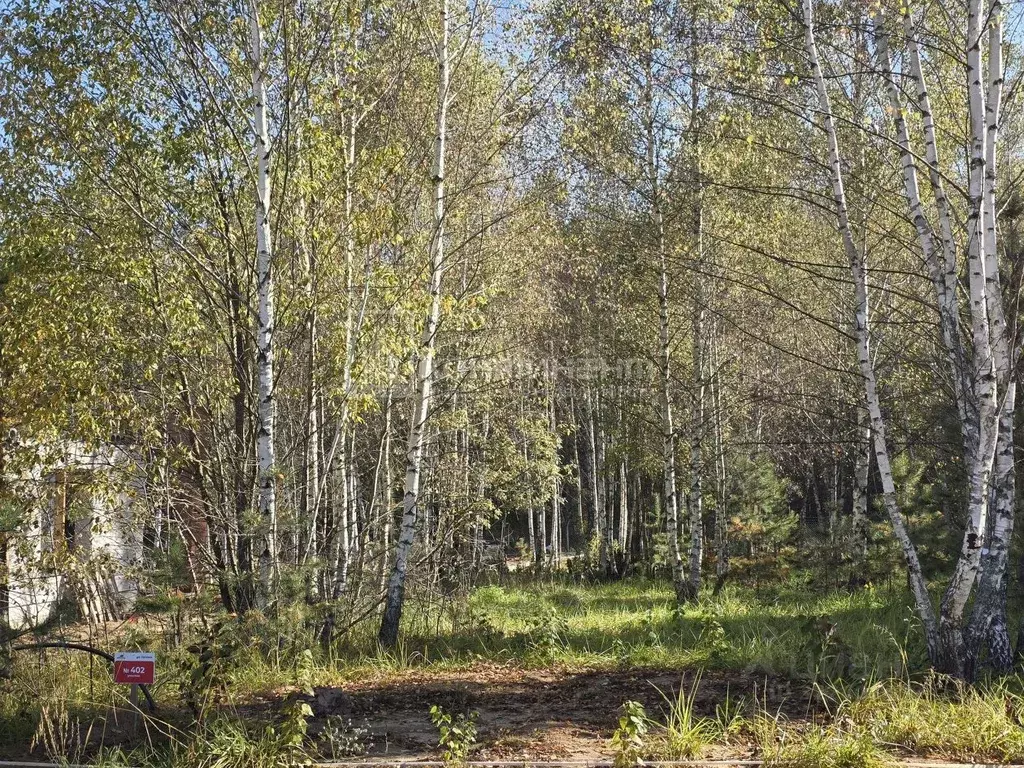 Участок в Владимирская область, Ковровский район, Доброград ... - Фото 1