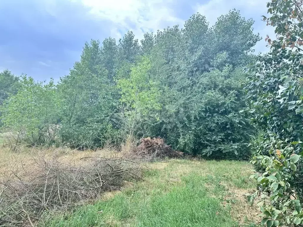 Участок в Краснодарский край, Выселковский район, Березанское с/пос, ... - Фото 1