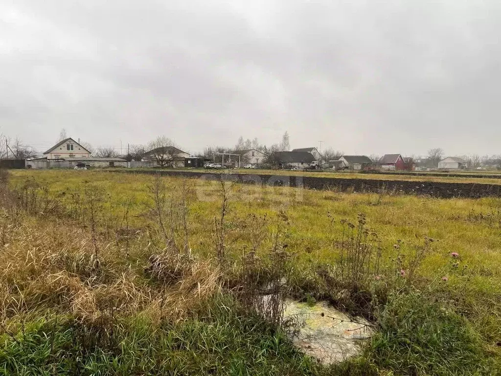 Участок в Белгородская область, Белгородский район, Беловское с/пос, ... - Фото 1