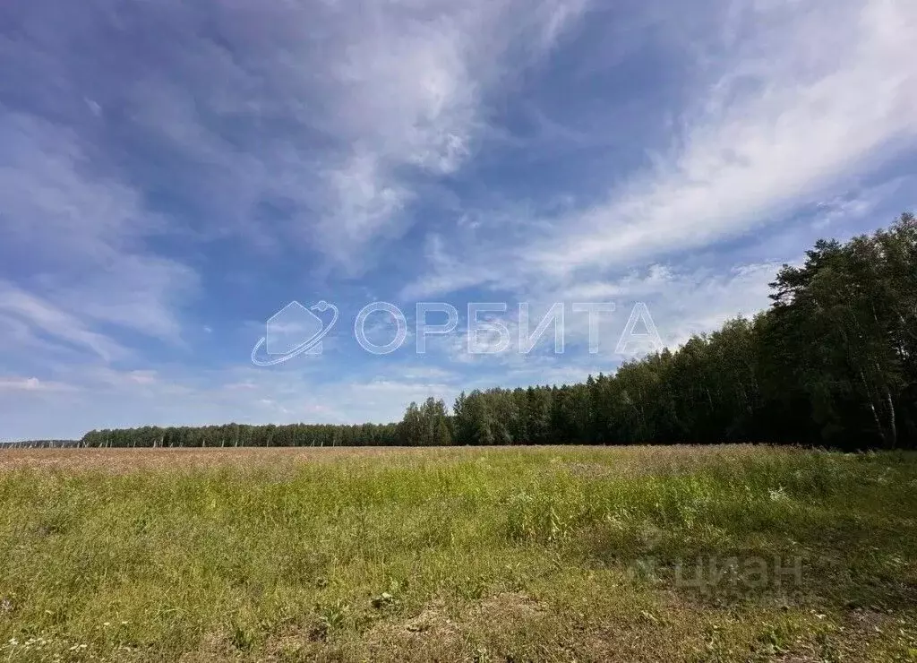 Участок в Тюменская область, Тюменский муниципальный округ, с. ... - Фото 1