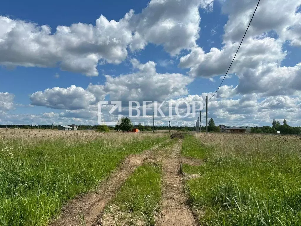 Участок в Костромская область, Кострома Соколиное Гнездо кп, 1 (8.3 ... - Фото 1