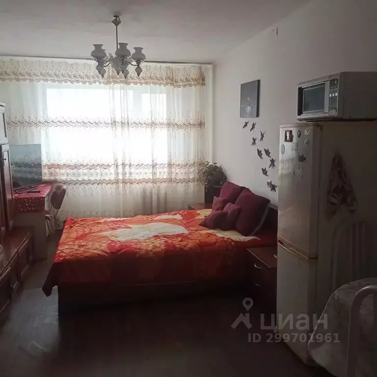 Комната Хабаровский край, Хабаровск ул. Демьяна Бедного, 19 - Фото 1
