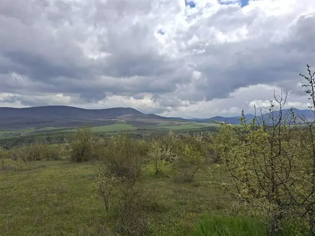 Участок в Крым, Белогорский район, Земляничненское с/пос, с. Родники ... - Фото 1