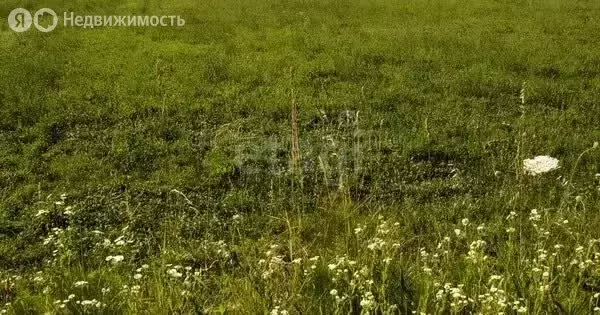 Участок в Алтайский район, село Верх-Ая, Школьная улица (920 м) - Фото 2