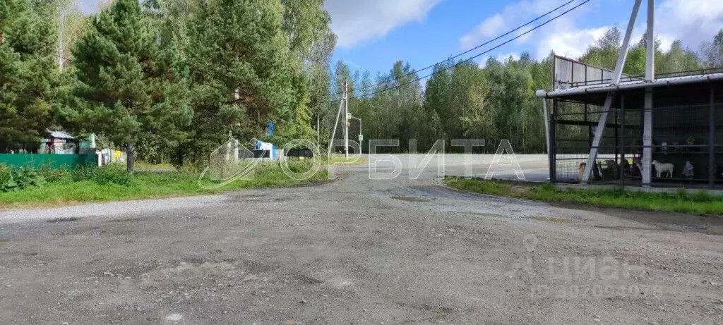 Участок в Тюменская область, Нижнетавдинский район, Фортуна СТ  (9.0 ... - Фото 0