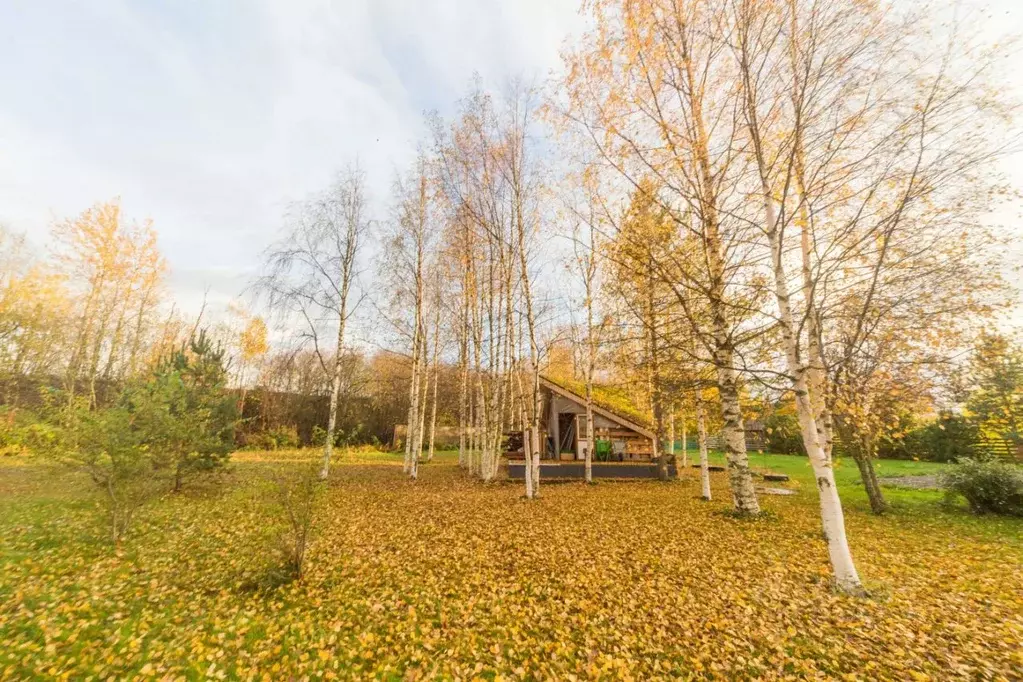 Участок в Карелия, Прионежский район, Шуйское с/пос, д. Бесовец, д. ... - Фото 2