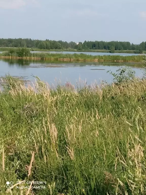 Участок в Московская область, Дмитровский муниципальный округ, д. ... - Фото 1