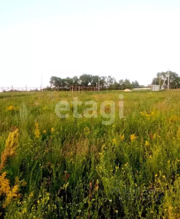 Участок в Мордовия, Саранск городской округ, Николаевка рп ул. ... - Фото 2