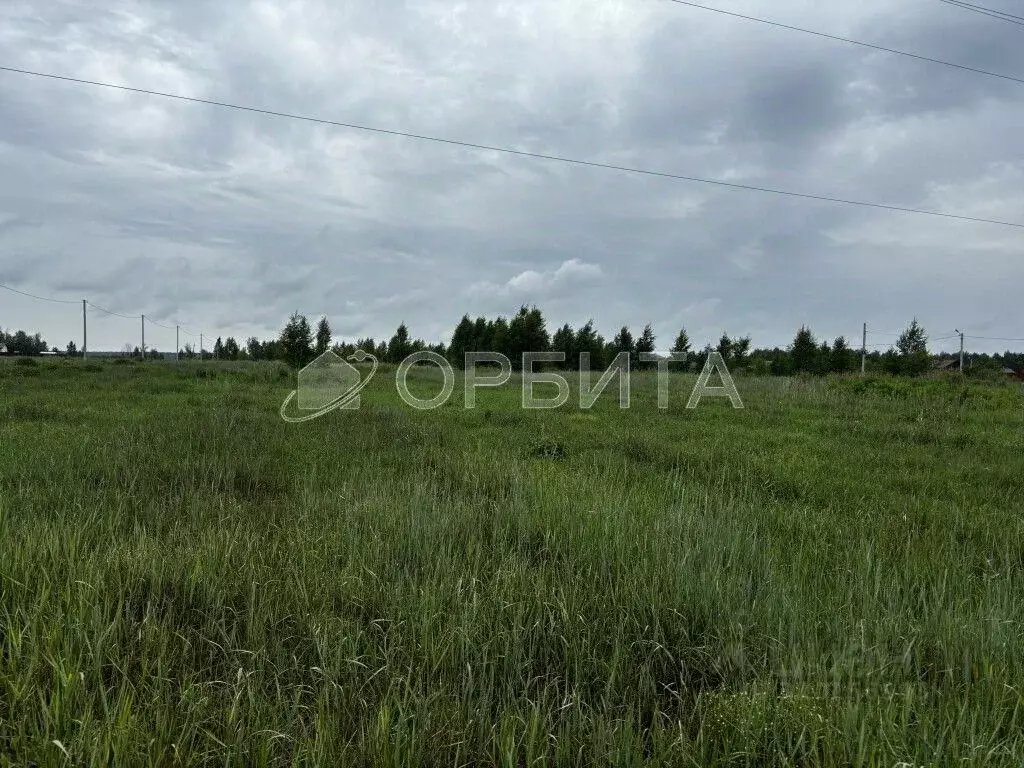 Участок в Тюменская область, Тюменский район, д. Молчанова  (11.0 ... - Фото 0