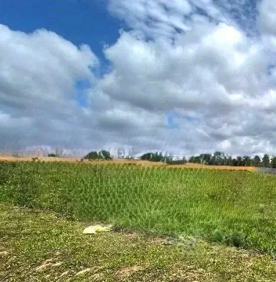 Участок в Московская область, Дмитровский муниципальный округ, Смарт ... - Фото 1