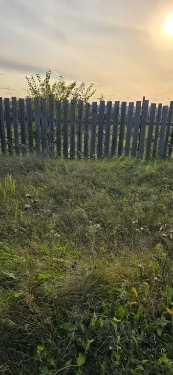 Участок в Красноярский край, Сосновоборский муниципальный округ, д. ... - Фото 1