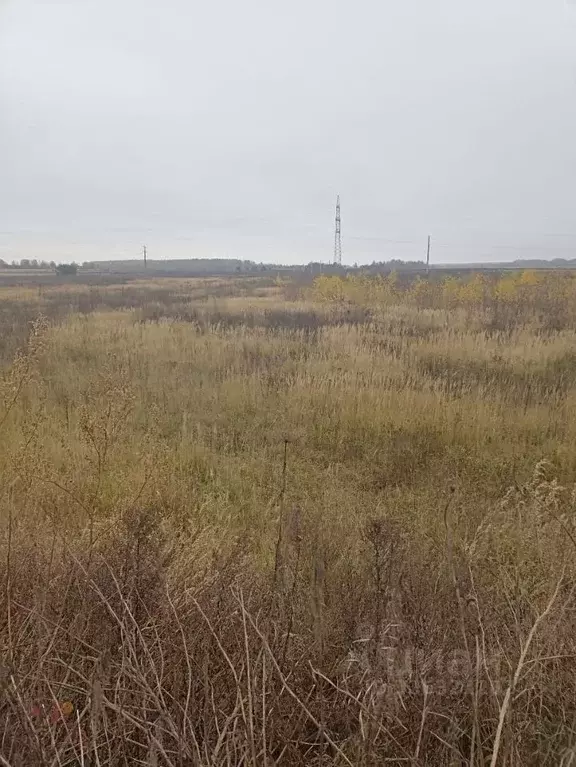 Участок в Московская область, Клин городской округ, Деревня сл.  ... - Фото 2