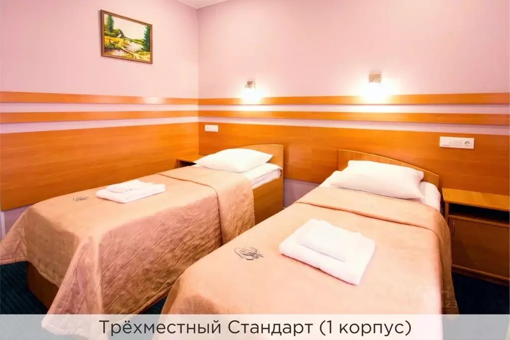 Комната Санкт-Петербург Чистяковская ул., 2 (17.0 м) - Фото 1