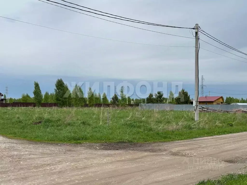 Участок в Новосибирская область, Искитимский район, с. Морозово ул. ... - Фото 2