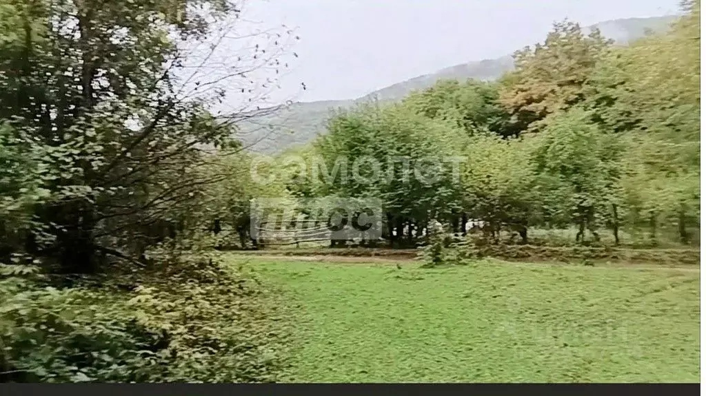 Участок в Краснодарский край, Апшеронский район, Мезмайское с/пос, ... - Фото 2