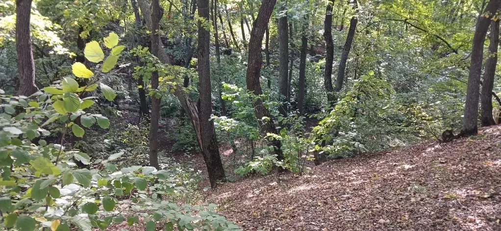 Дом в Саратовская область, Саратов Золотая Долина СНТ,  (10 м) - Фото 1