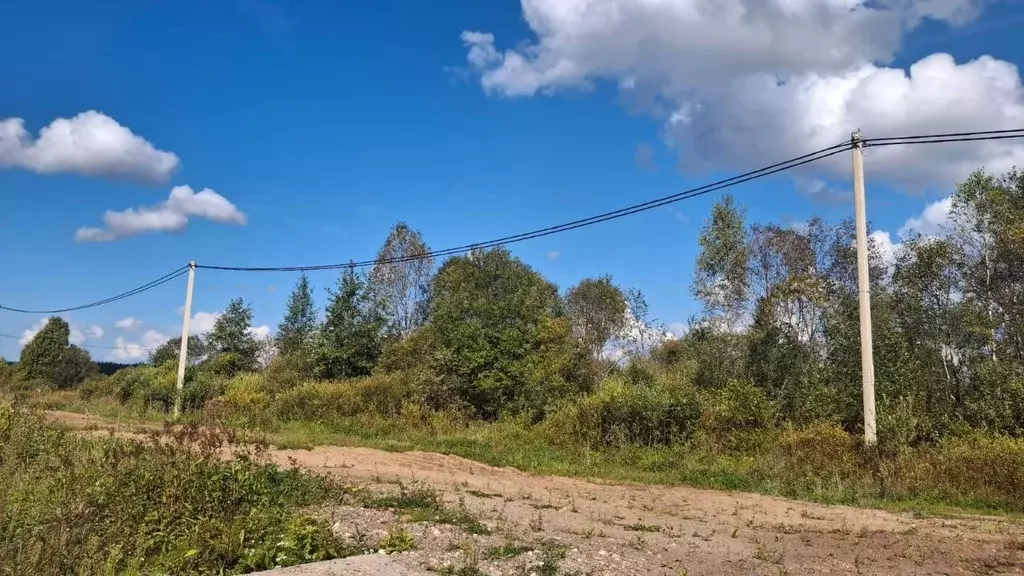 Участок в Новгородская область, Малая Вишера пос. Веселая Горка,  ... - Фото 1