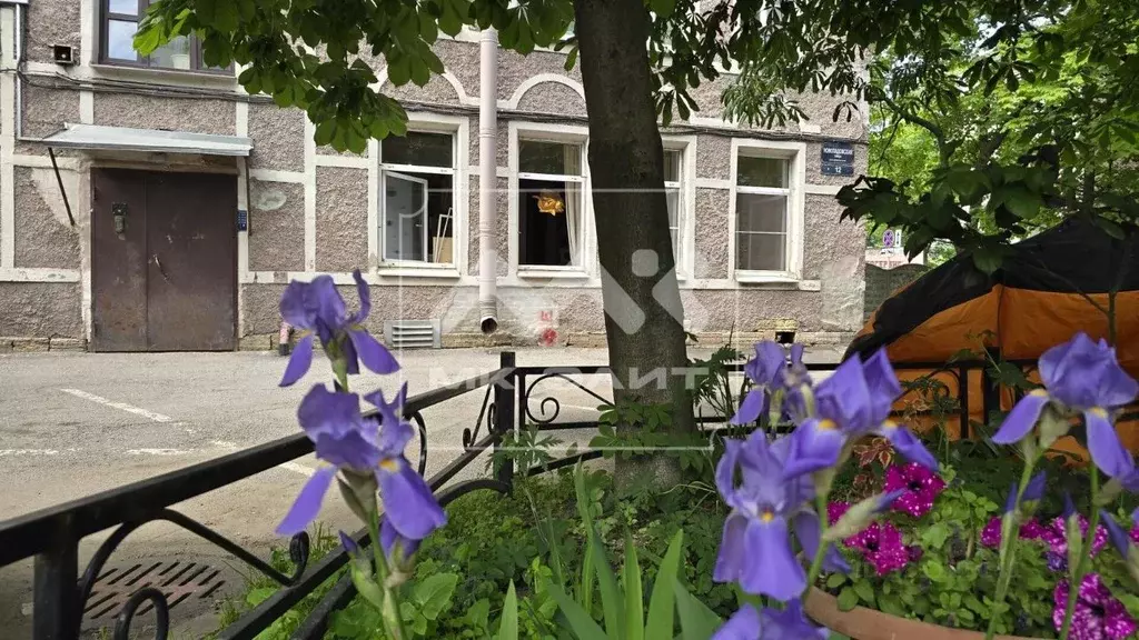 2-к кв. Санкт-Петербург Новоладожская ул., 12 (44.0 м) - Фото 1