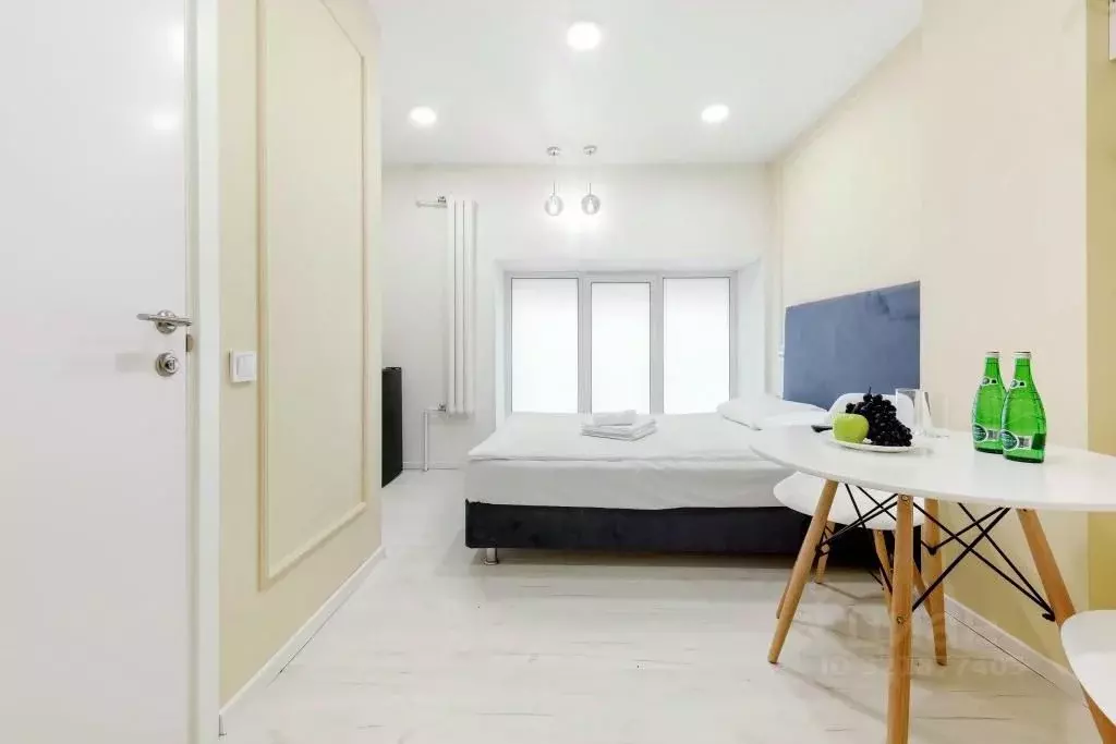 1-к кв. Санкт-Петербург Лиговский просп., 55/4 (12.0 м) - Фото 2