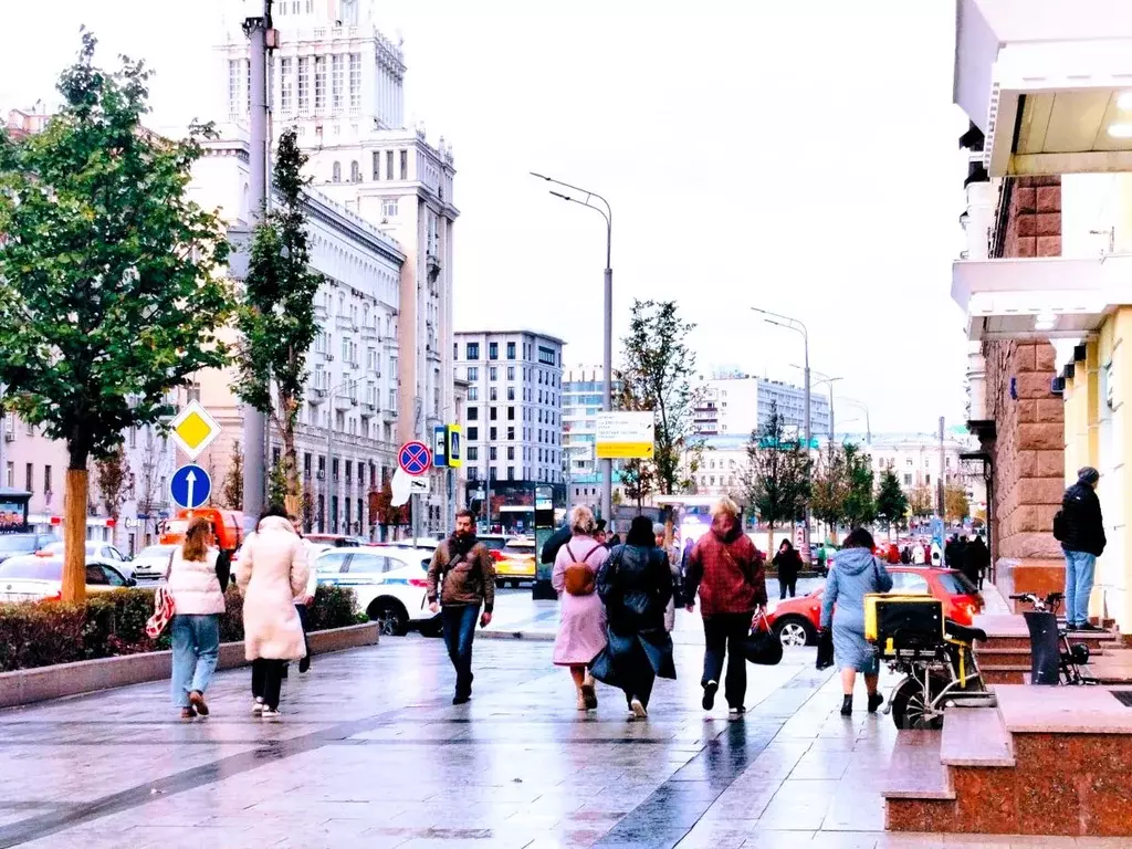 Помещение свободного назначения в Москва Большая Садовая ул., 6С2 (243 ... - Фото 0