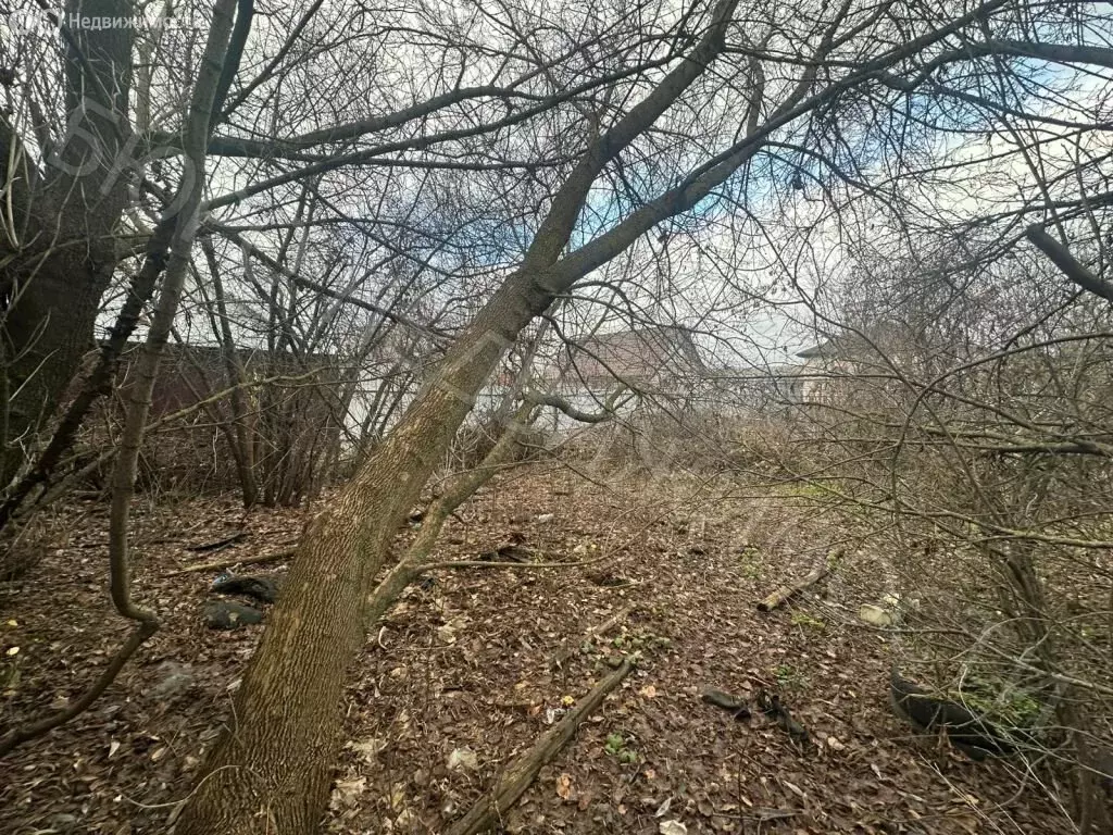 Участок в Балашов, Астраханская улица, 104 (7.4 м) - Фото 1