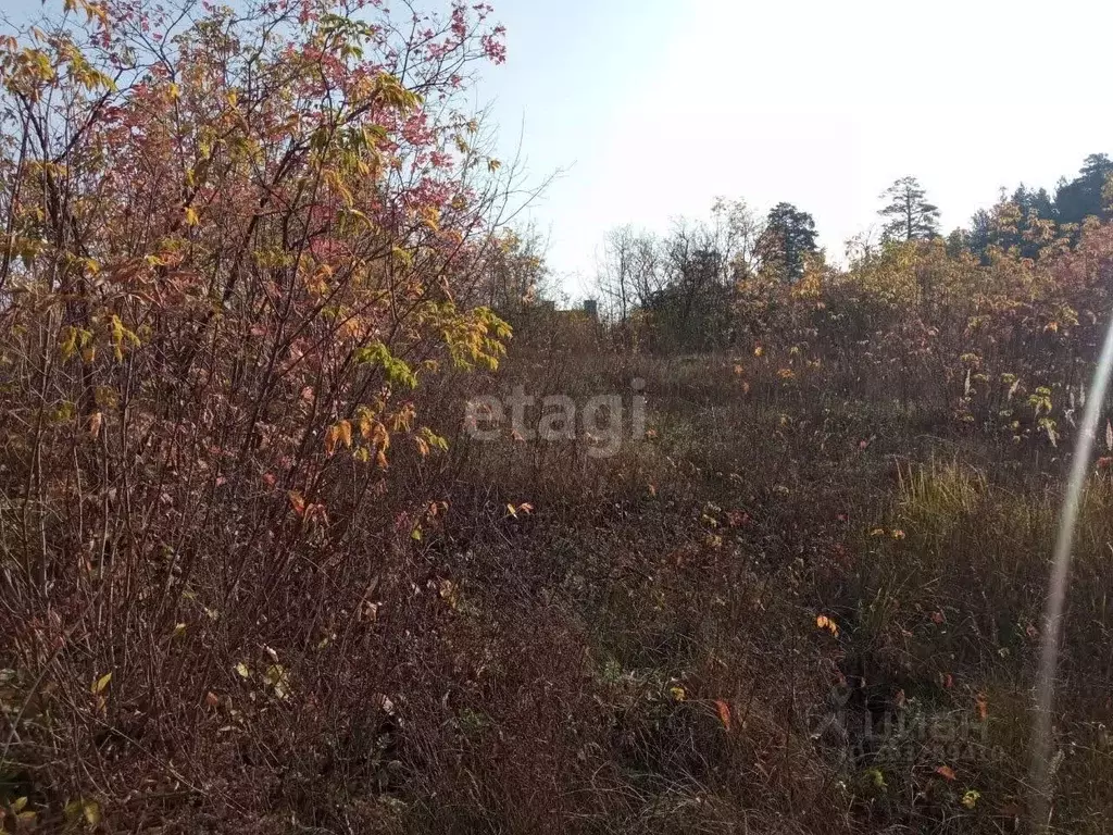 Участок в Ульяновская область, Тереньгульский район, Подкуровское ... - Фото 0