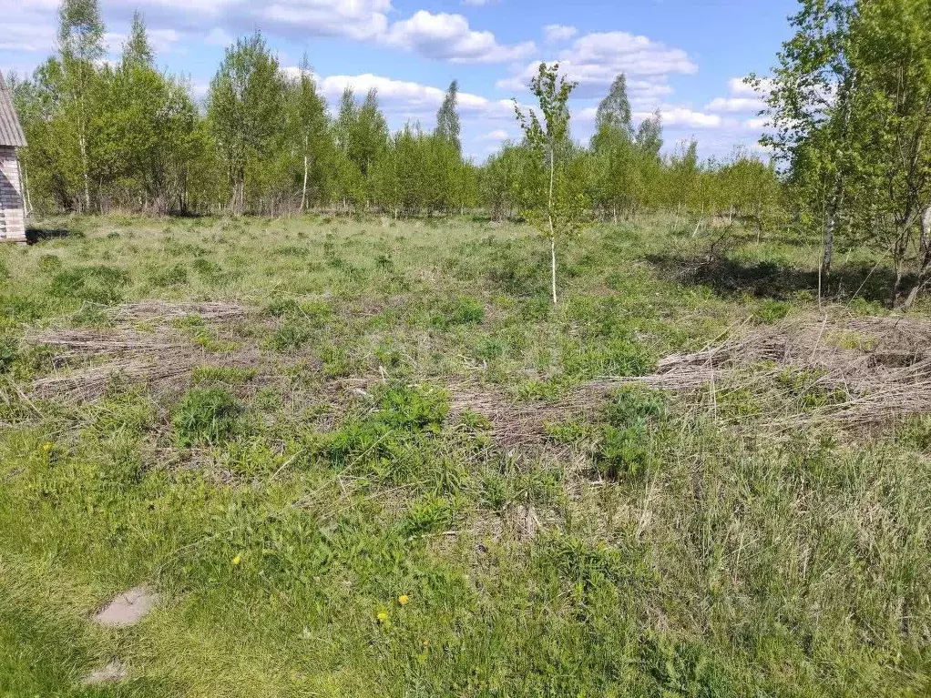 Участок в Брянская область, Брянский район, Добрунское с/пос, Добрунь ... - Фото 2